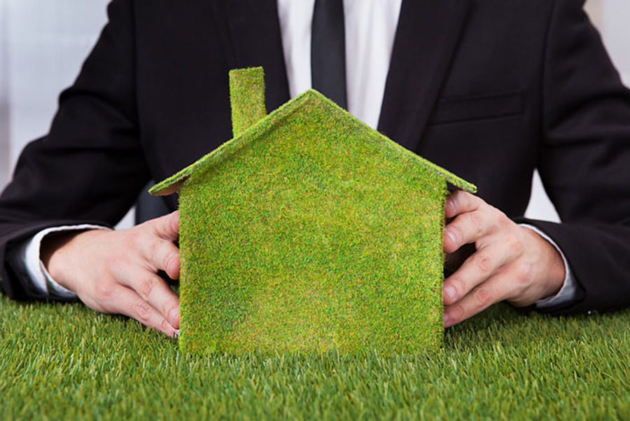hand, business, man, people, person, desktop, work, human, grass, adult, nature, one, man, close-up, color, work, success, growth, outdoors, lifestyle