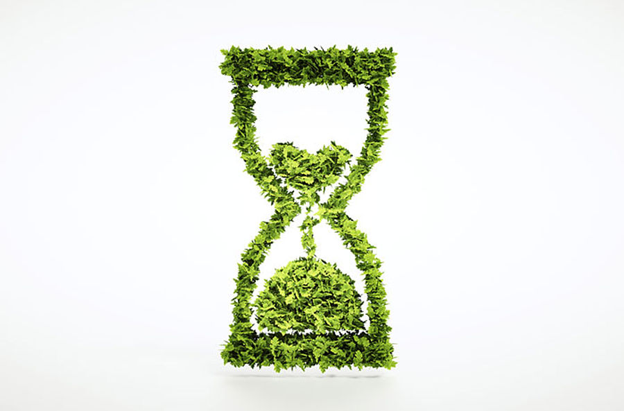 alphabet, leaf, illustration, no person, symbol, type, nature, text, growth, tree, flora, isolated, art, set, ecology, baptismal font, sign, typographic, typography, letter